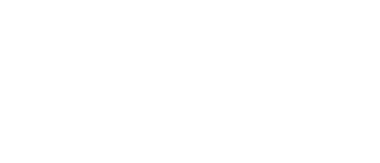 palantir logo